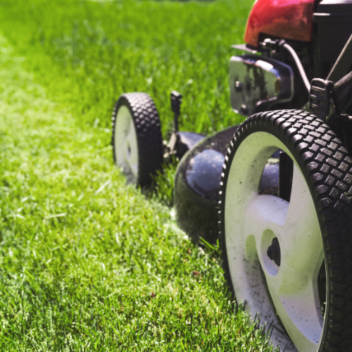 Rentals Branson West, MO Shell Knob, MO True Value Rental Branson