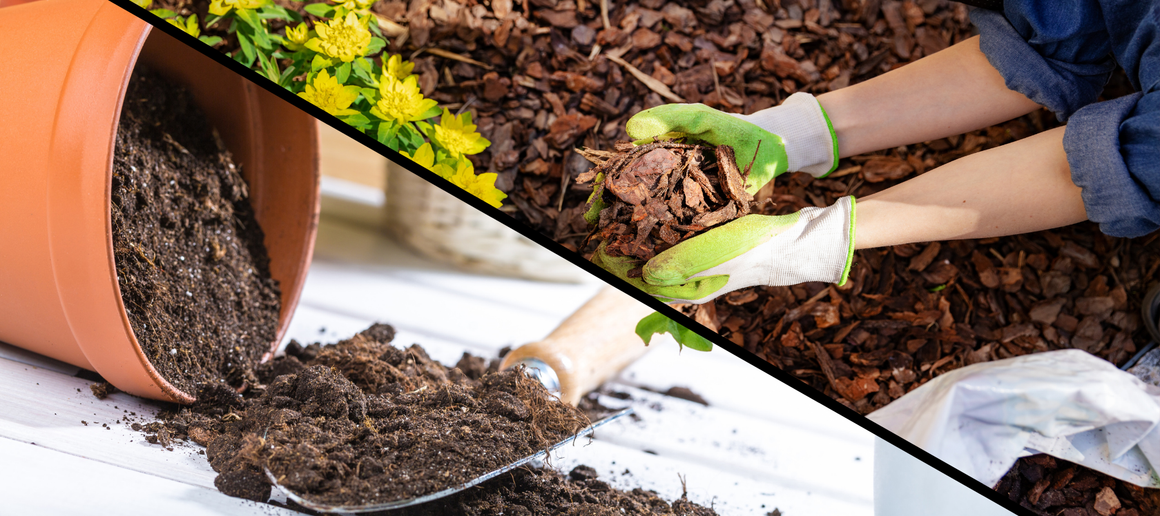 Equipment Rental Agency True Value Rental Branson West